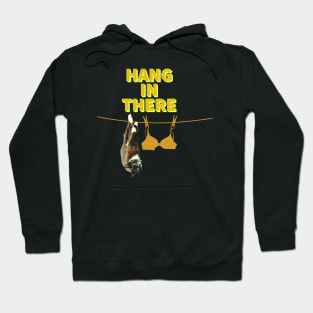 Funny Cat Hanging On Clothesline With Hang In There Phrase T-shirt Hoodie